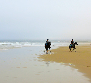 Beach Horseback Riding - Pismo Sands Beach Club Camping