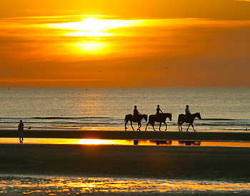 Sunset Horseback Riding on the Beach