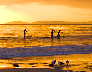 Paddle Boarding on the Beach